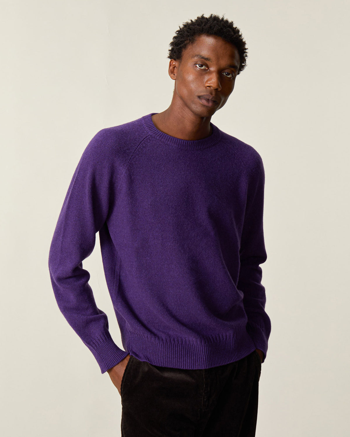 Pull col rond en cachemire Léo Purple Homme