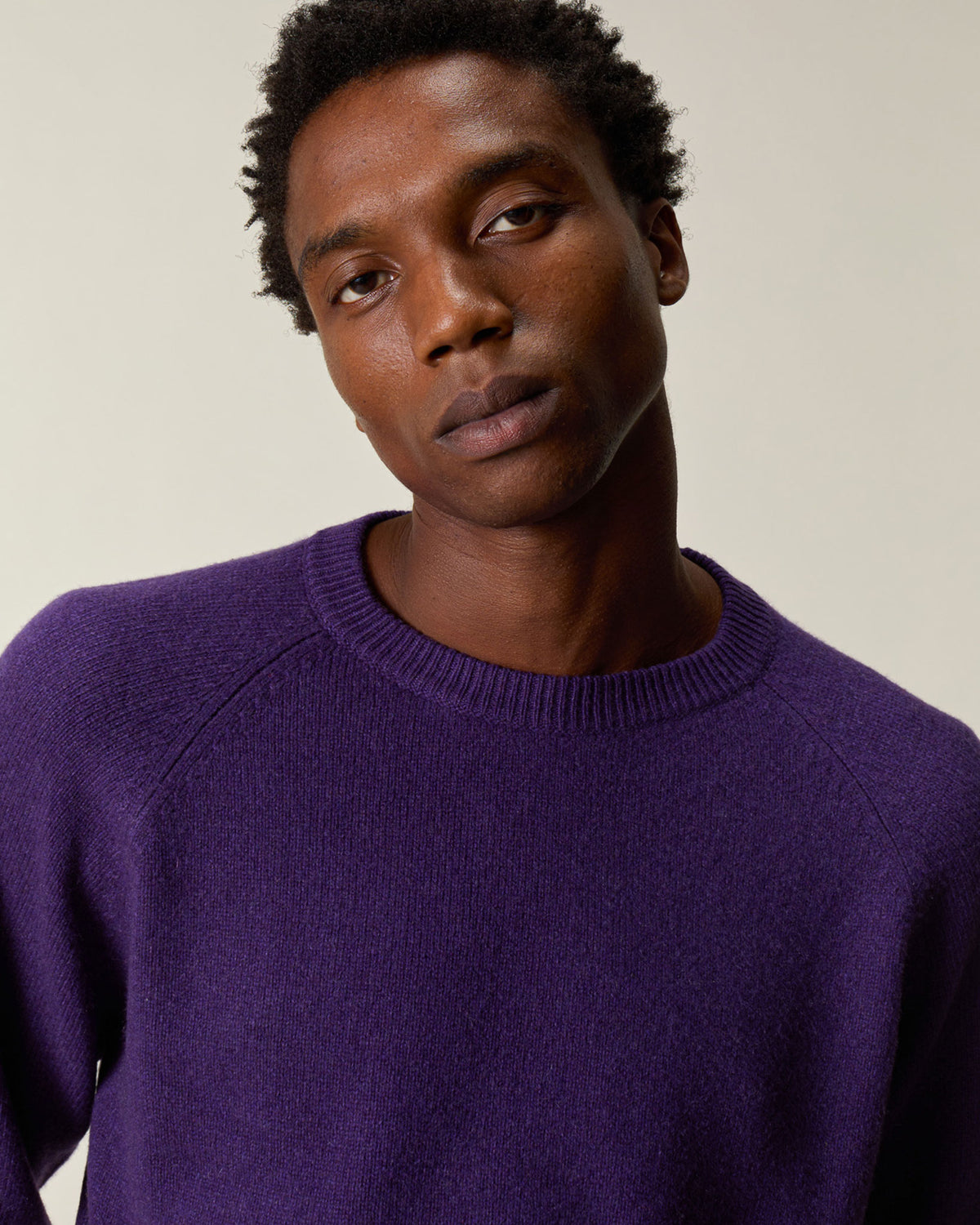 Pull col rond en cachemire Léo Purple Homme