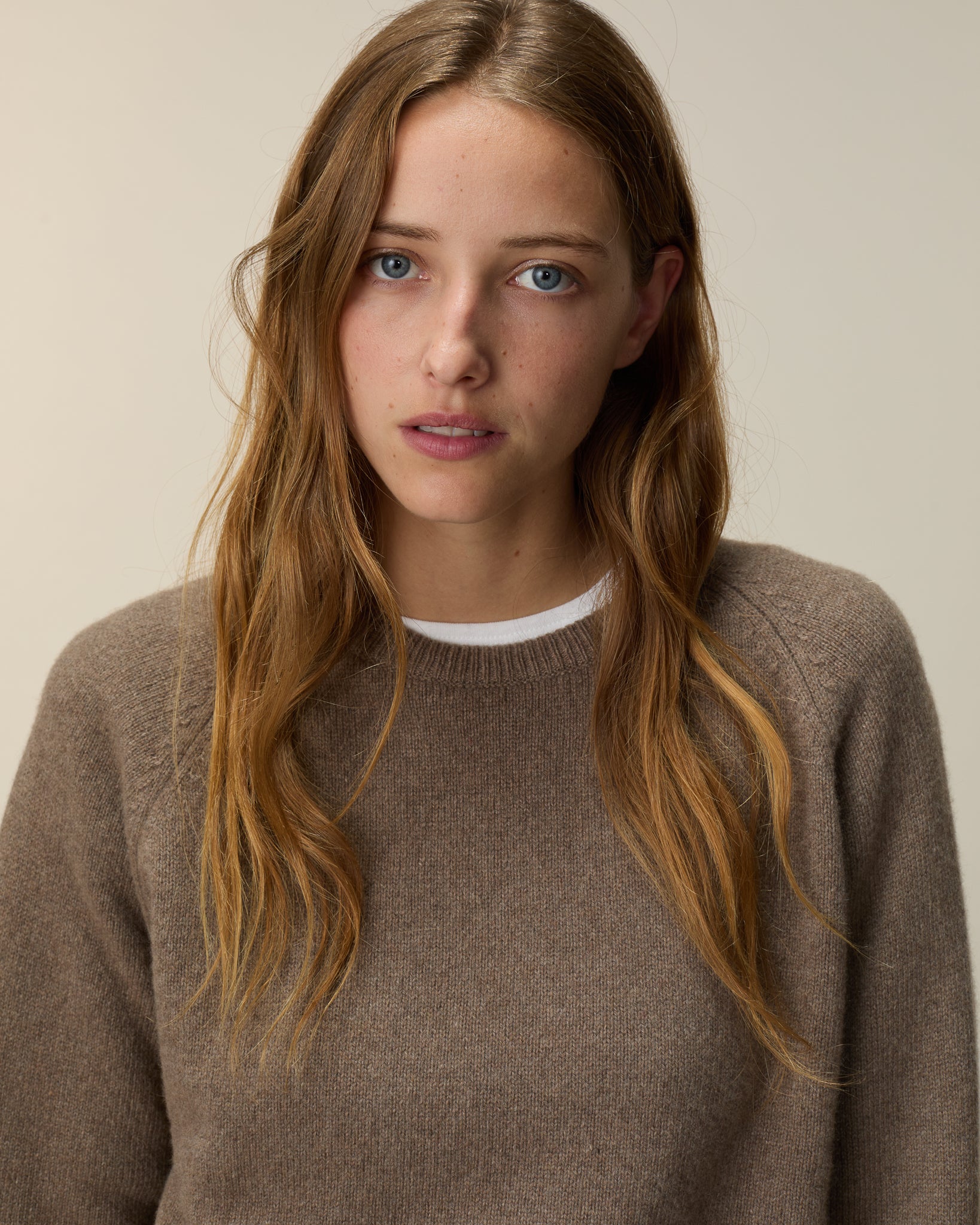 Col rond en cachemire Havana femme - Tricot