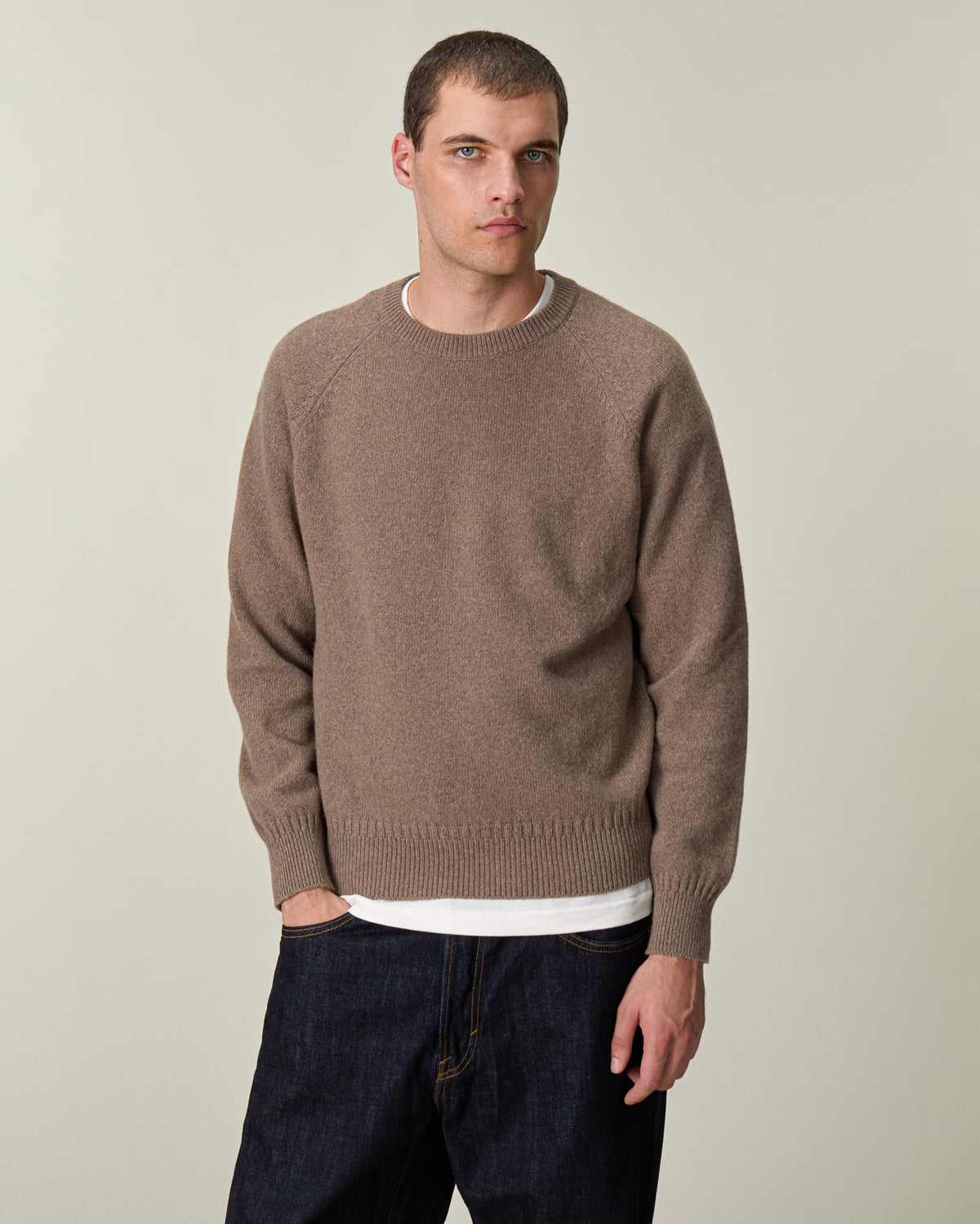 Col rond en cachemire Havana homme