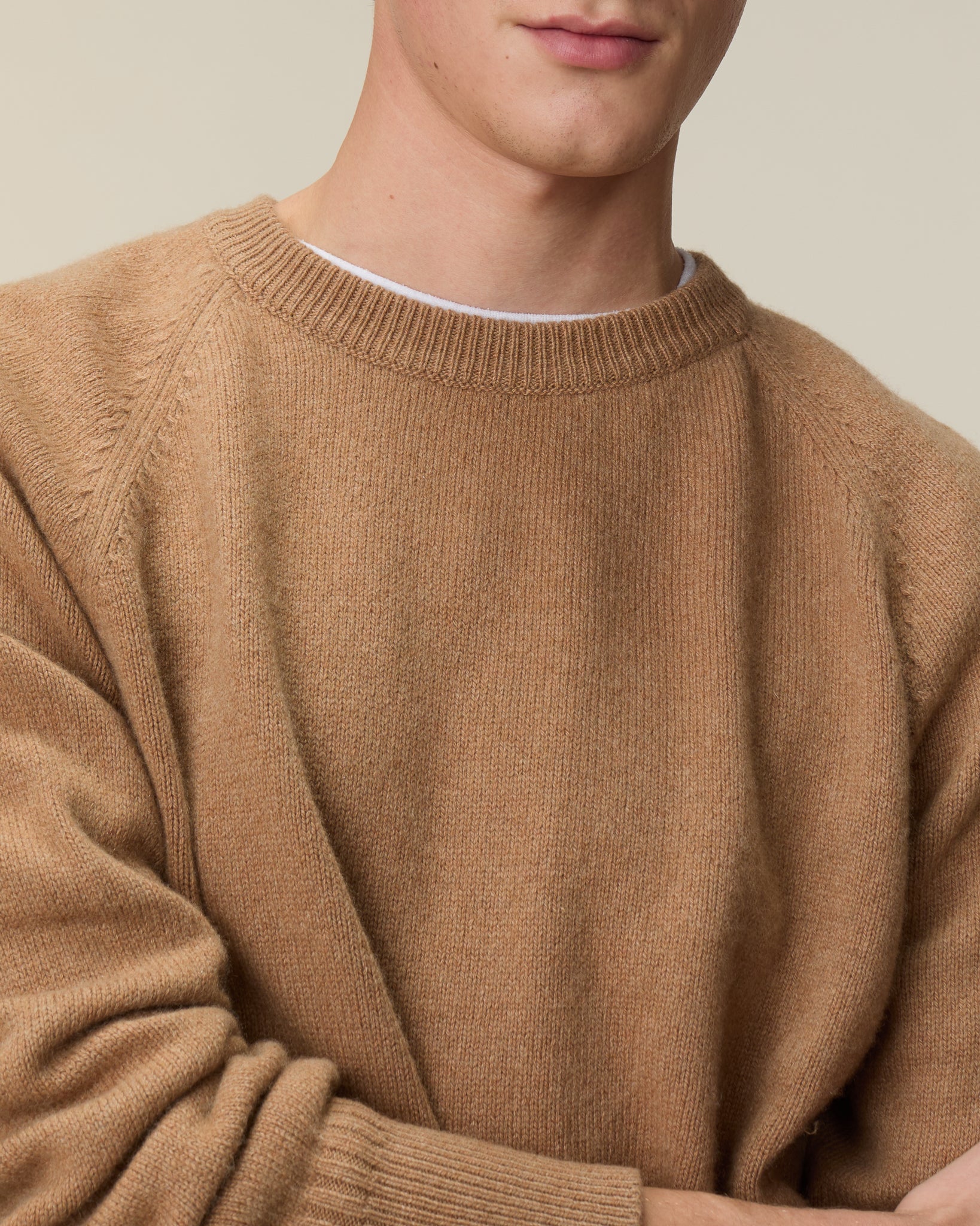 Camel Men's crewneck cashmere sweater