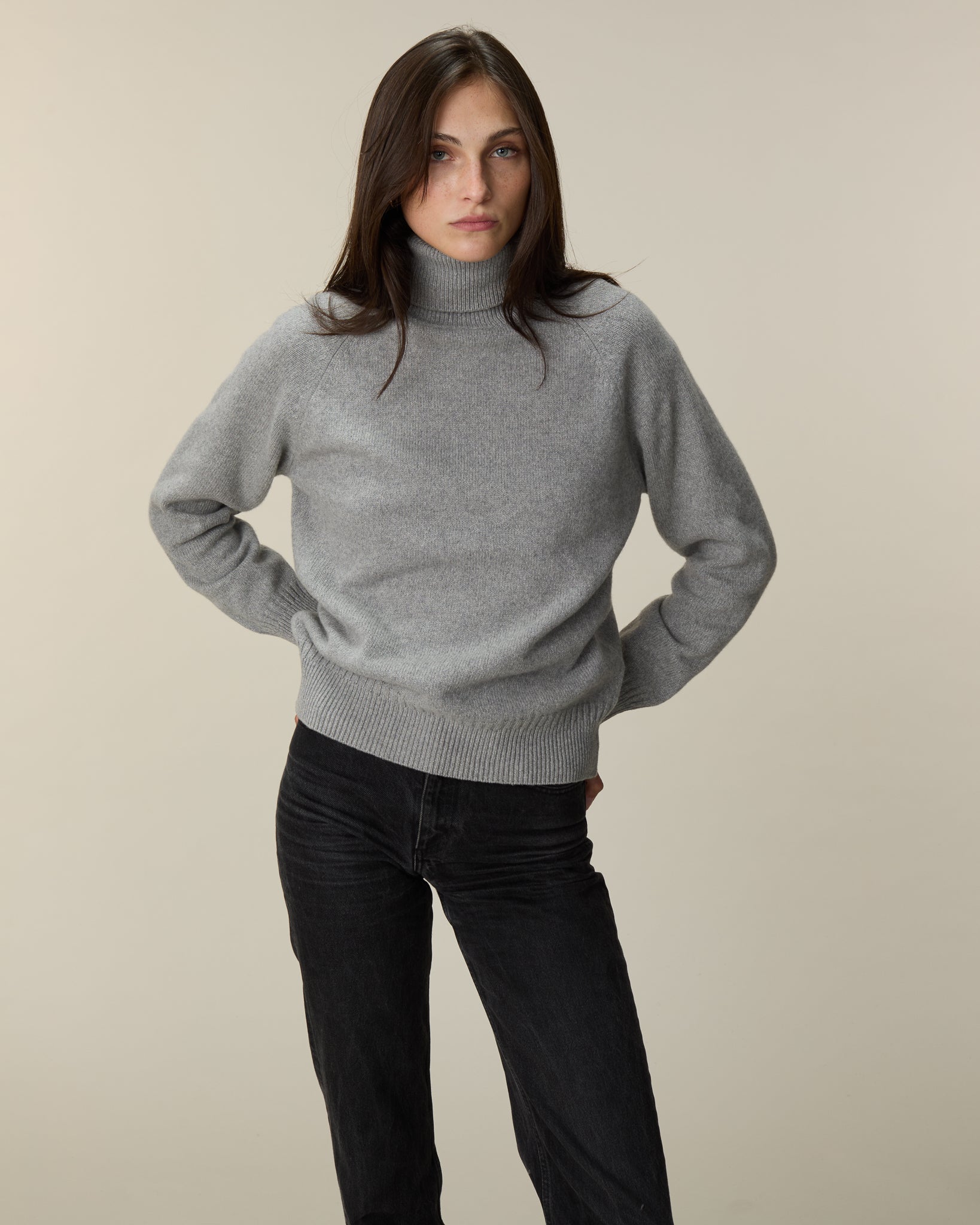 Col roulé en cachemire Gris Femme
