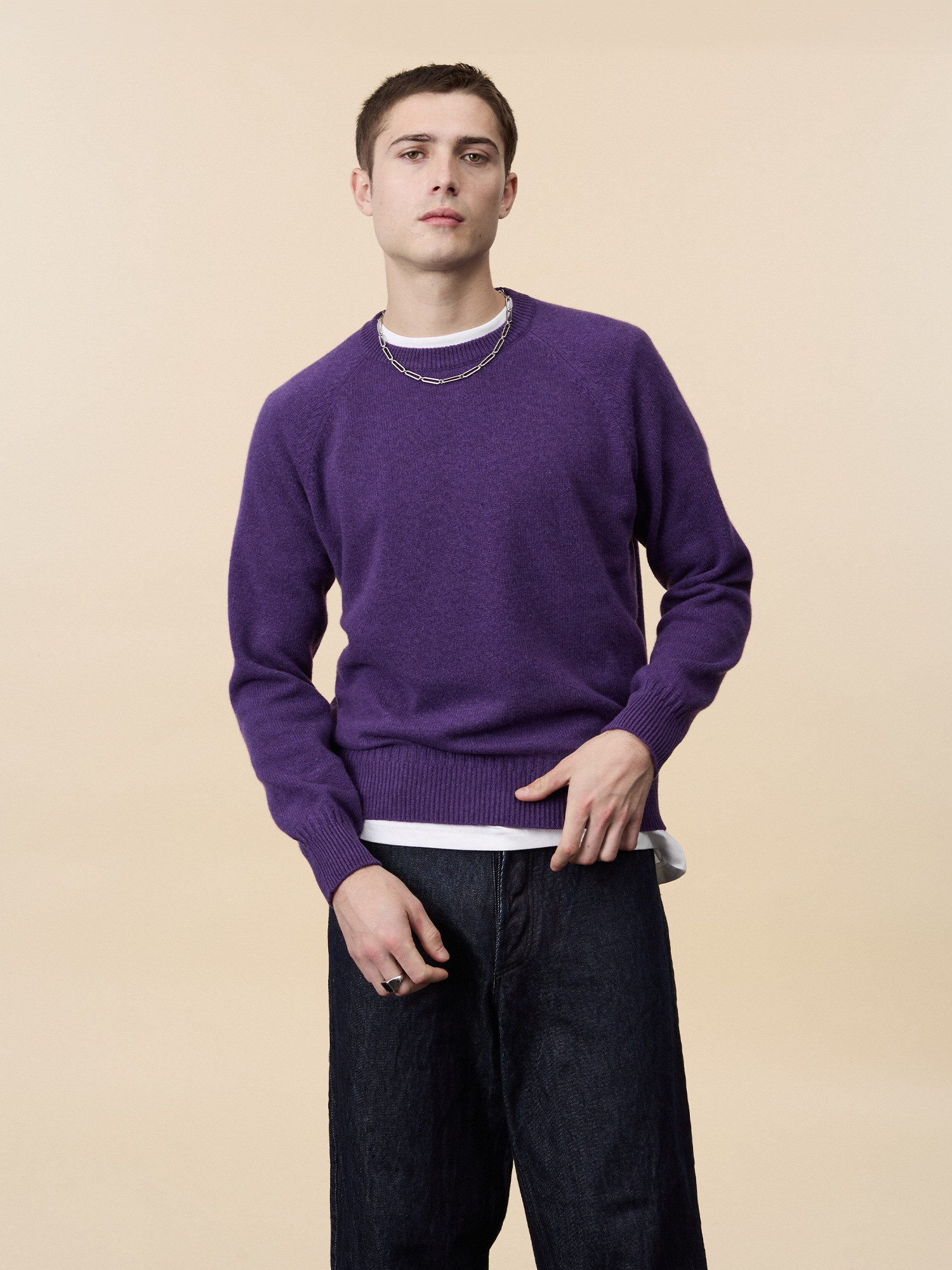 Léo Purple Men's Cashmere Crew Neck Sweater